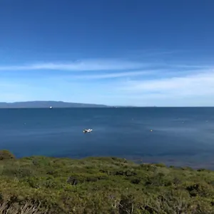 Figoli Italy